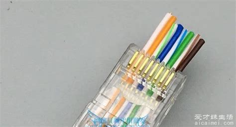 網線接頭順序圖解,網線接頭順序圖解圖片縮略圖