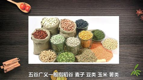 五谷雜糧豆漿十種最佳搭配(五谷雜糧豆漿十種最佳搭配效果圖)縮略圖