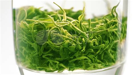 毛尖茶葉,毛尖茶葉圖片縮略圖